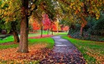Autumn-in-the-Park-autumn-25517310-500-313