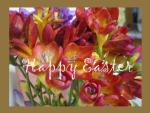 Easter Week 2012
