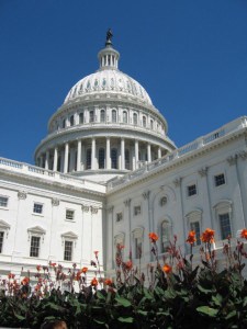 US Capitol