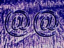 55909808