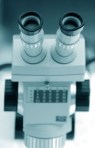 Microscopic Examination Microscopic Examination