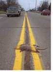 RoadKill