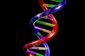 DNA
