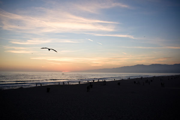 Advertising Serenity