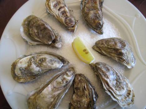 oysters