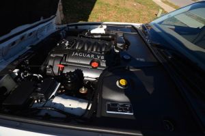 My Jaguar's engine after a steam