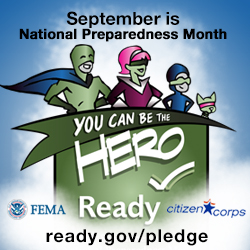 Banner_NPM2013_square_250x250 (2)