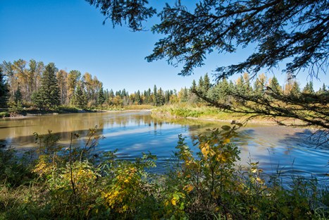 Nikon D800, AF-S Nikkor 16-35mm F/4 VR