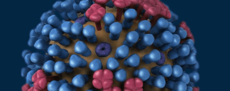 flu+virus+2